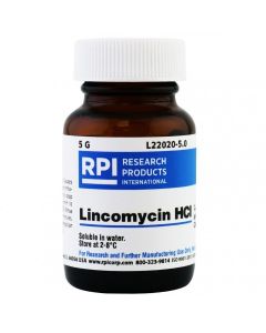 RPI Lincomycin Hydrochloride, 5 Grams