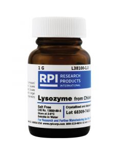 RPI Lysozyme From Chicken Egg White, Salt Free, 1 Gram