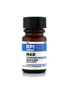 RPI Nad [Β-Nad] [Β-Nicotinamide Adenine Dinucleotide, Oxidized Free Acid Hydrate], 1 Gram