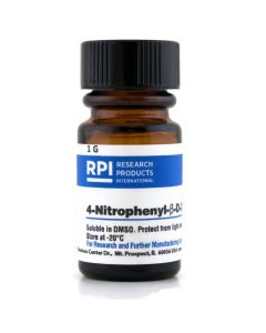 RPI 4-Nitrophenyl-Β-D-Xylopyranoside, 1 Gram