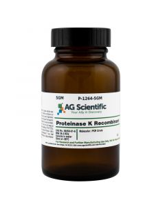 AG Scientific Proteinase K (Recombinant), Molecular/PCR, 5GM