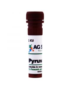 AG Scientific Pyruvate Oxidase, 1 KU