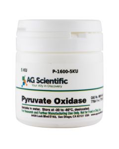 AG Scientific Pyruvate Oxidase, 5 KU