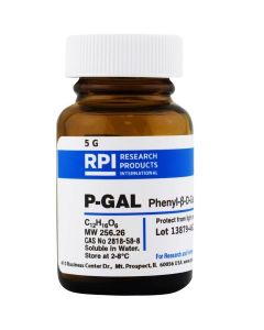 RPI P-Gal [Phenyl-Β-D-Galactopyranoside], 5 Grams