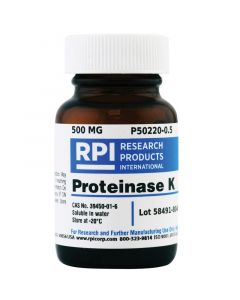 RPI Proteinase K, 500 Milligrams - Rp