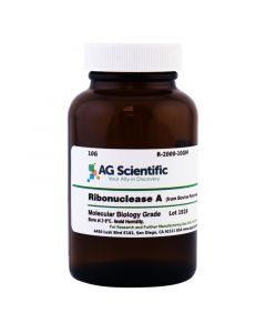 AG Scientific RNase A, 10G