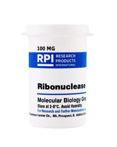 RPI Ribonuclease A, Bovine Pancreas, 100 Milligrams