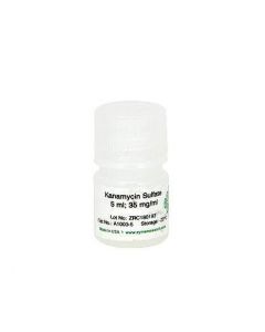 RPI Kanamycin SuLfate Solution, 5 mL