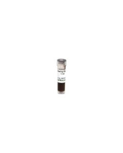 RPI Clearing Beads, 1 mL