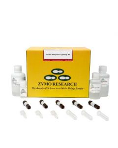 RPI EZ DNA Methlyation-Lightning Kit, 200 Reactions (CE-IVD)