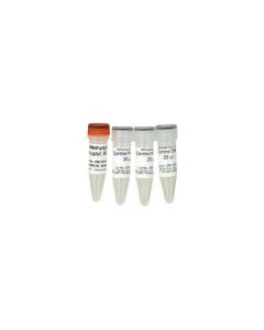 RPI Methylated/Non-Methylated Control Dna & Primer Set