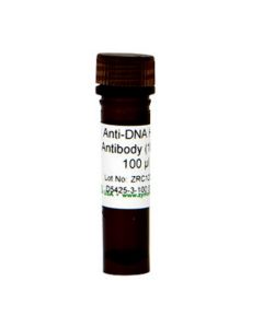 RPI Anti-Dna Hrp Antibody (100x) (100