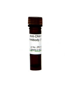 RPI Anti-Dna Hrp Antibody, 100x, 200 Ul