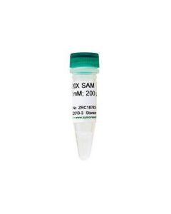 RPI 20x Sam, S-Adenosylmethionine, 20