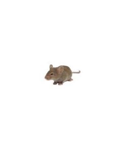 IBI Scientific Recombinant Mouse Protein M-Csf 260kda Mw 5ug