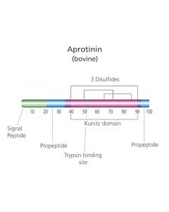 Sigma-Aldrich Aprotinin From Bovine Lung