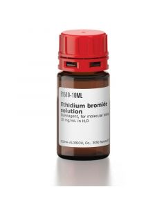 Sigma-Aldrich Ethidium Bromide Solution