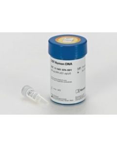 Sigma Aldrich COT Human DNA from human placenta DNA, enriched for repe; SIALGSK-11581074001