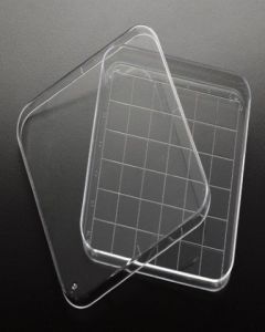 Simport Petri Dish 100x100x15mm With Grid, 500/Cs