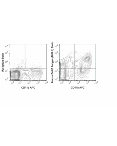 Tonbo Biotin Anti-Mouse F4/80 Antigen (Bm8.1)