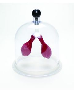 United Scientific Supply Lung Apparatus
