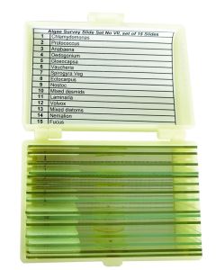 United Scientific Algae Survey Slide Set Of 15