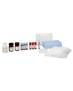 Waters Proteinworks Express Direct Digest Kit