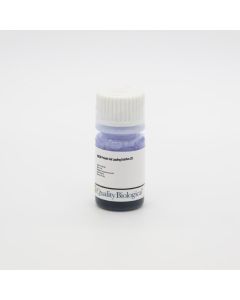 Quality Bio SDS Protein Gel Loading Solution