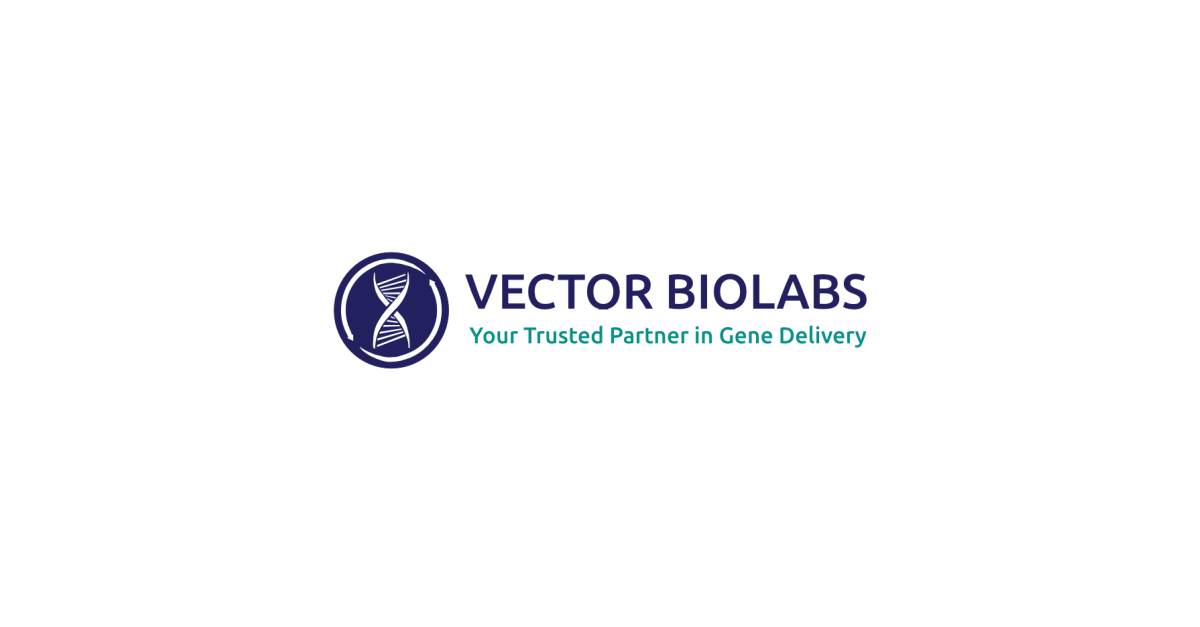 Vector Biolabs, a Fortis LS Co. Scrambled miRNA with GFP